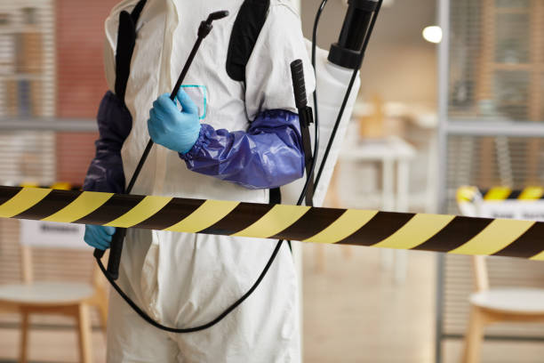 Professional Sewage Cleanup technician working in Reno, NV